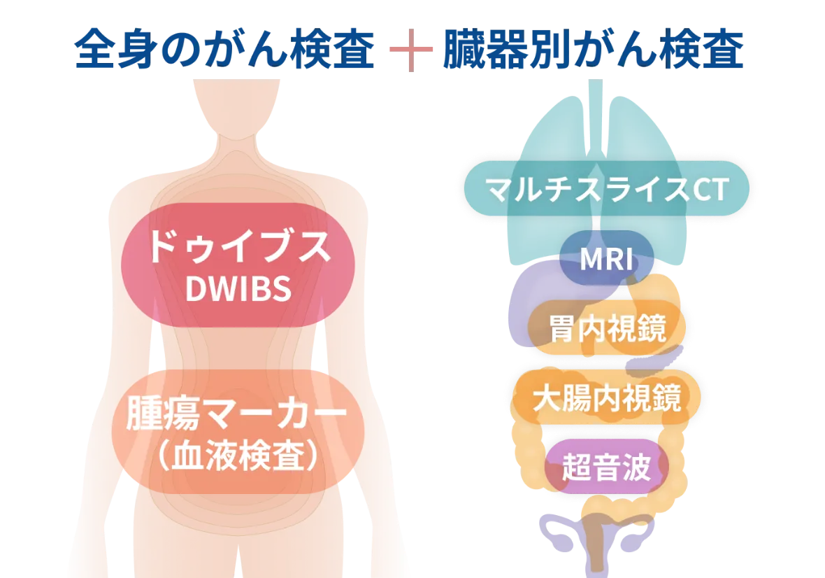全身がん検査と臓器別検査を組み合わせた説明図
