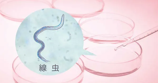 線虫がん検査の案内画像