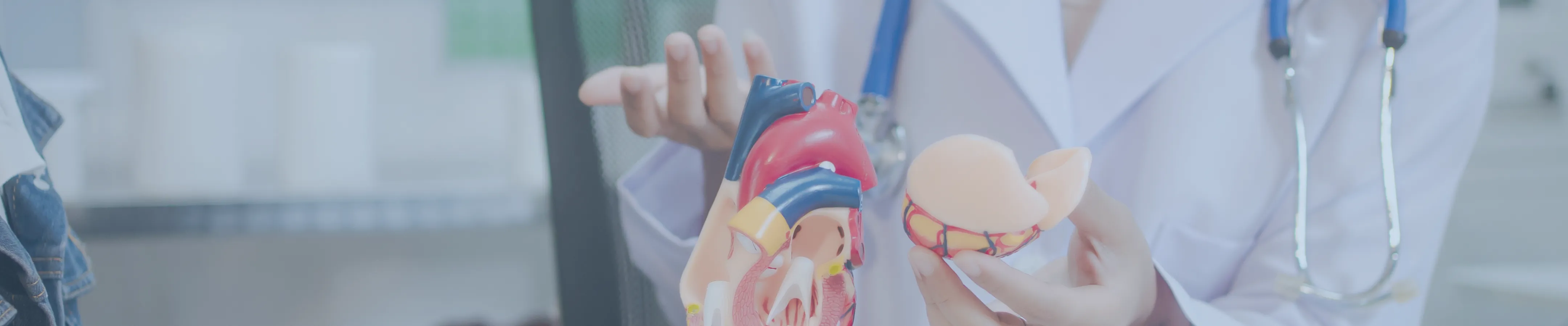 循環器内科