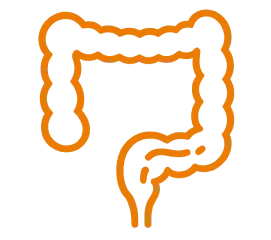 胃・大腸内視鏡検査